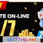 ck777 - Suporte Exclusivo e Rápido via WhatsApp Article Image 1